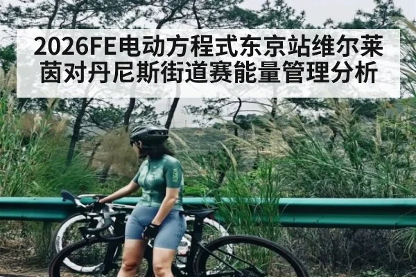 2026FE电动方程式东京站维尔莱茵对丹尼斯街道赛能量管理分析